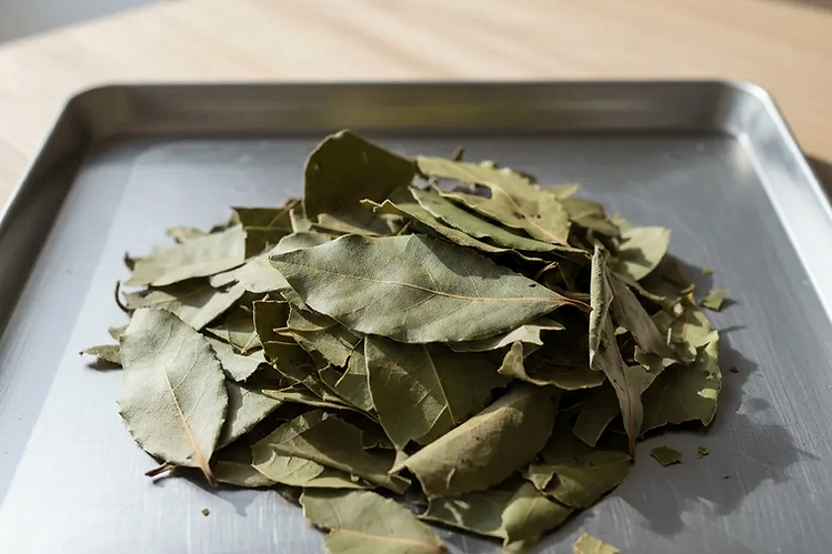 Grade B machine-sorted dried bay leaves on a metal tray